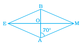 Page 156 Chapter 5 Class 8th NCERT Exemplar